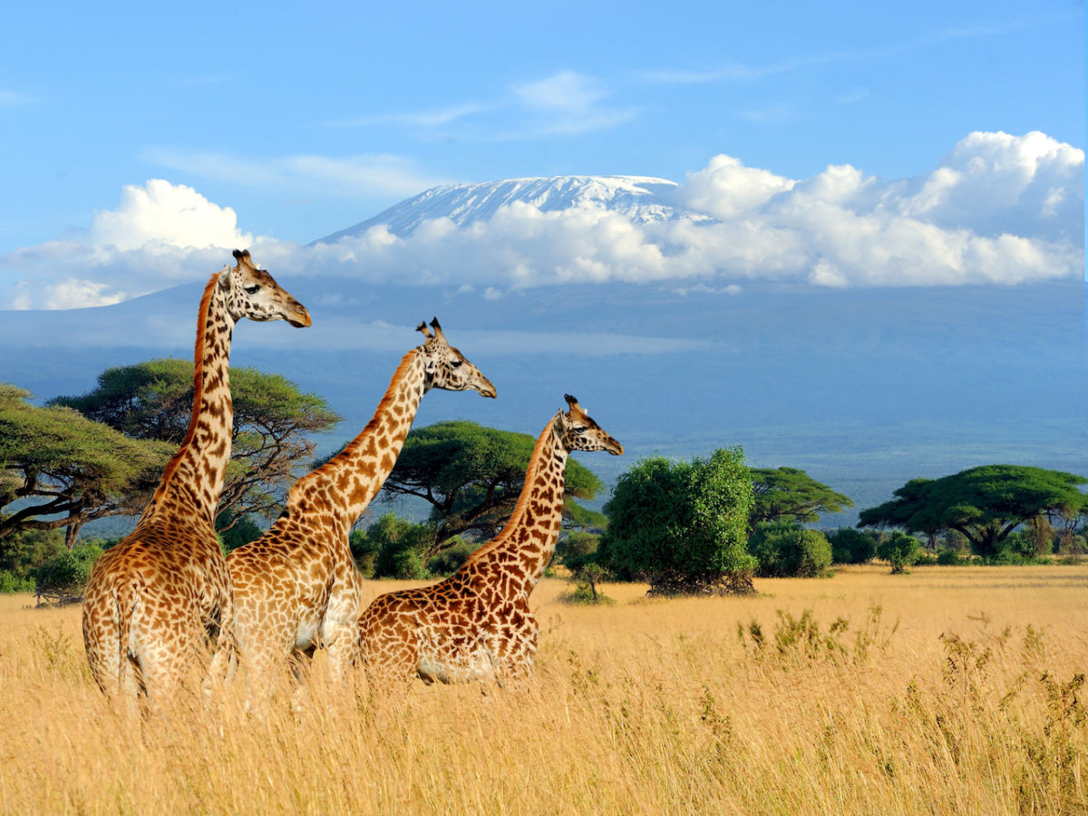 7 Days Kenya Adventure Safari